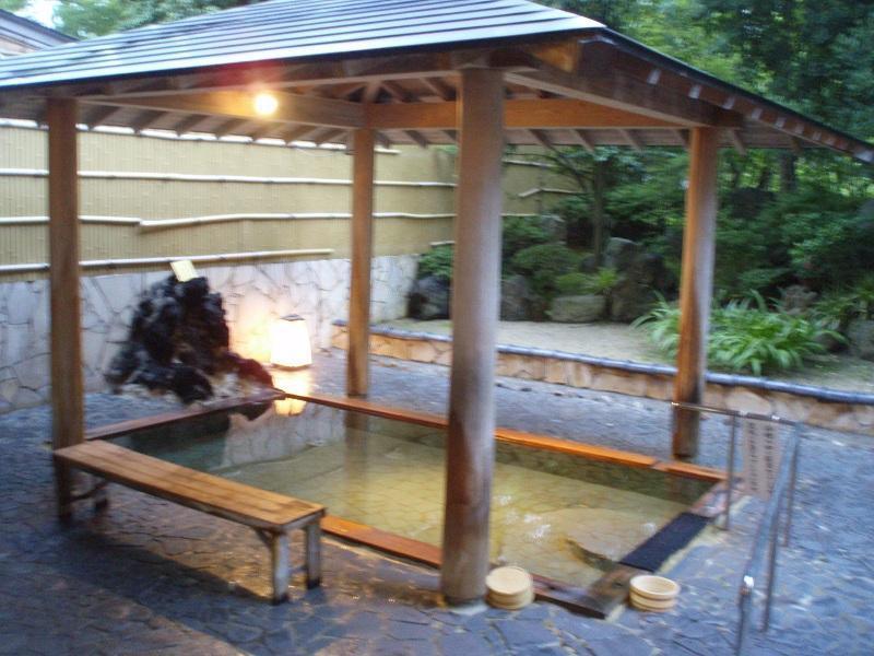 岩室温泉 「ほてる大橋 館の湯」: 新潟つれづれ日記