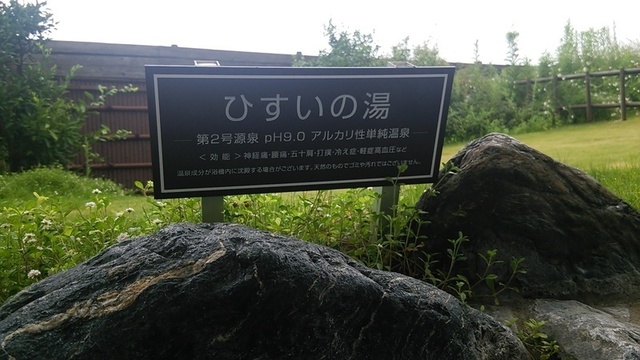 DSC_8119.JPG