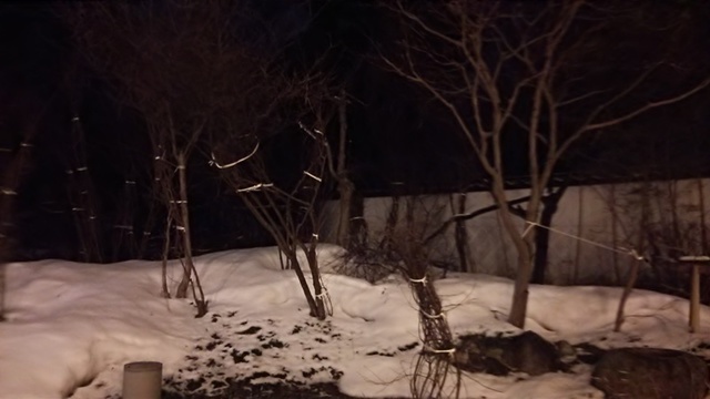 DSC_9137.JPG