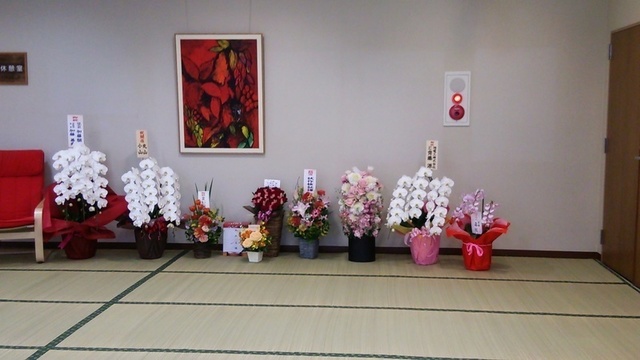 DSC_9318.JPG