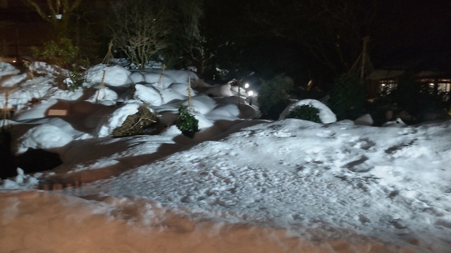 DSC_0404.JPG