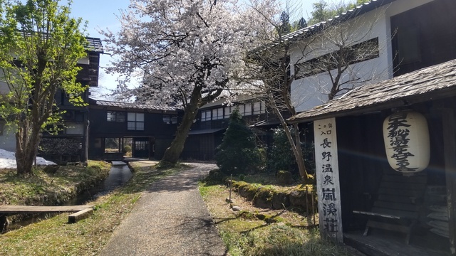 DSC_0609.JPG