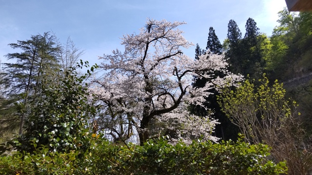 DSC_0727.JPG