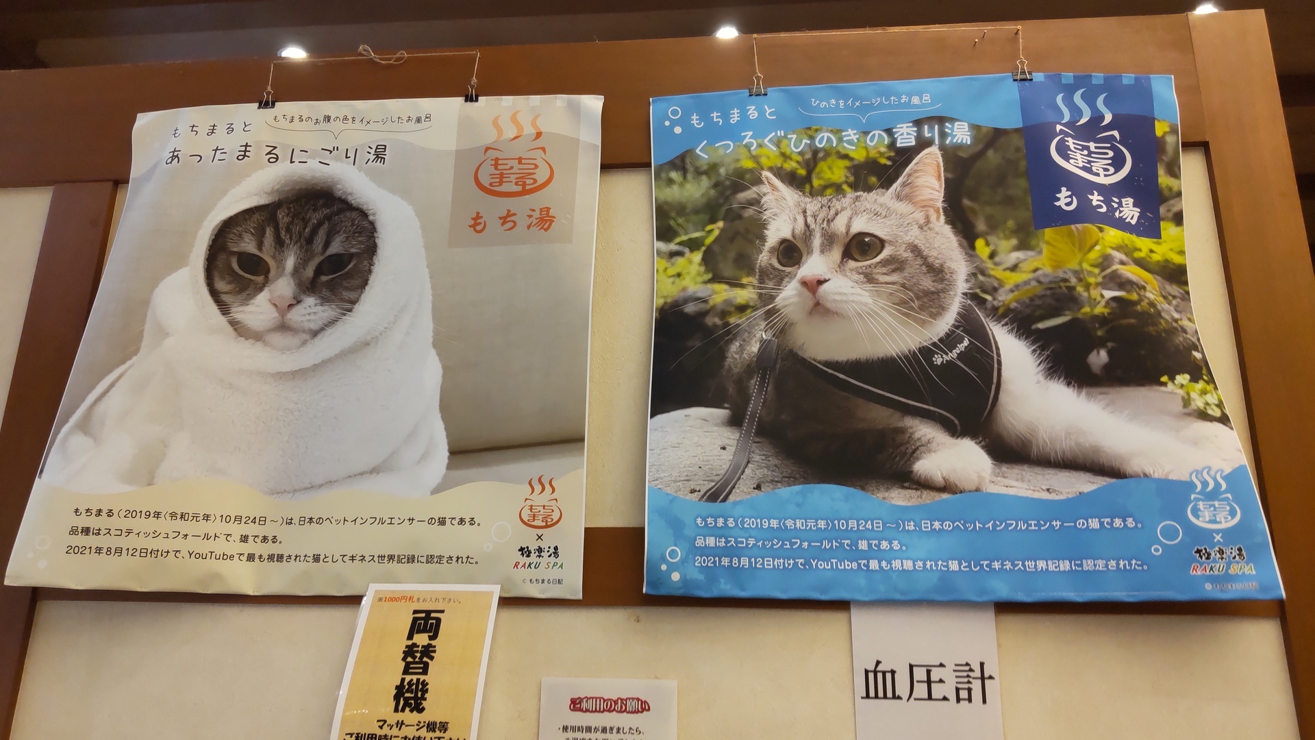ネコに癒やされる「極楽湯 女池店」: 新潟つれづれ日記