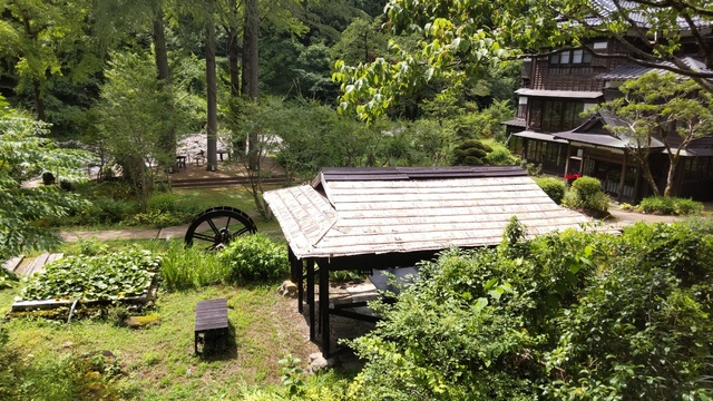 DSC_6325.JPG